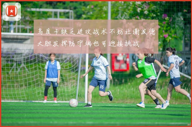 乌度卡缺乏进攻战术不妨让谢泼德大胆发挥防守端也可迎接挑战